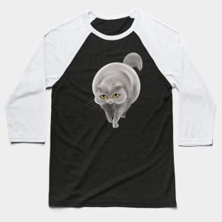 Big grey cat Baseball T-Shirt